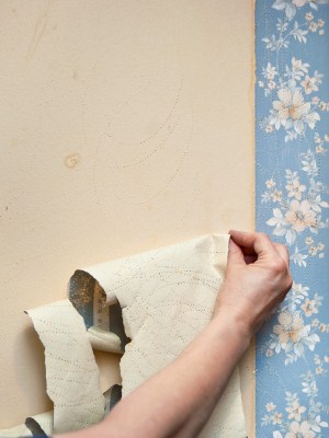 Wallpaper removal in Round Lake Park, Illinois by Mars Painting.